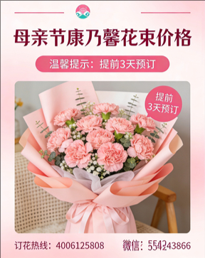 乌兰察布集宁区花店母亲节康乃馨花束