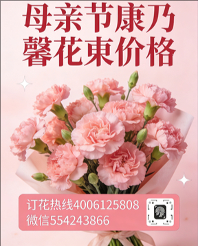 乌兰察布集宁区花店母亲节康乃馨花束